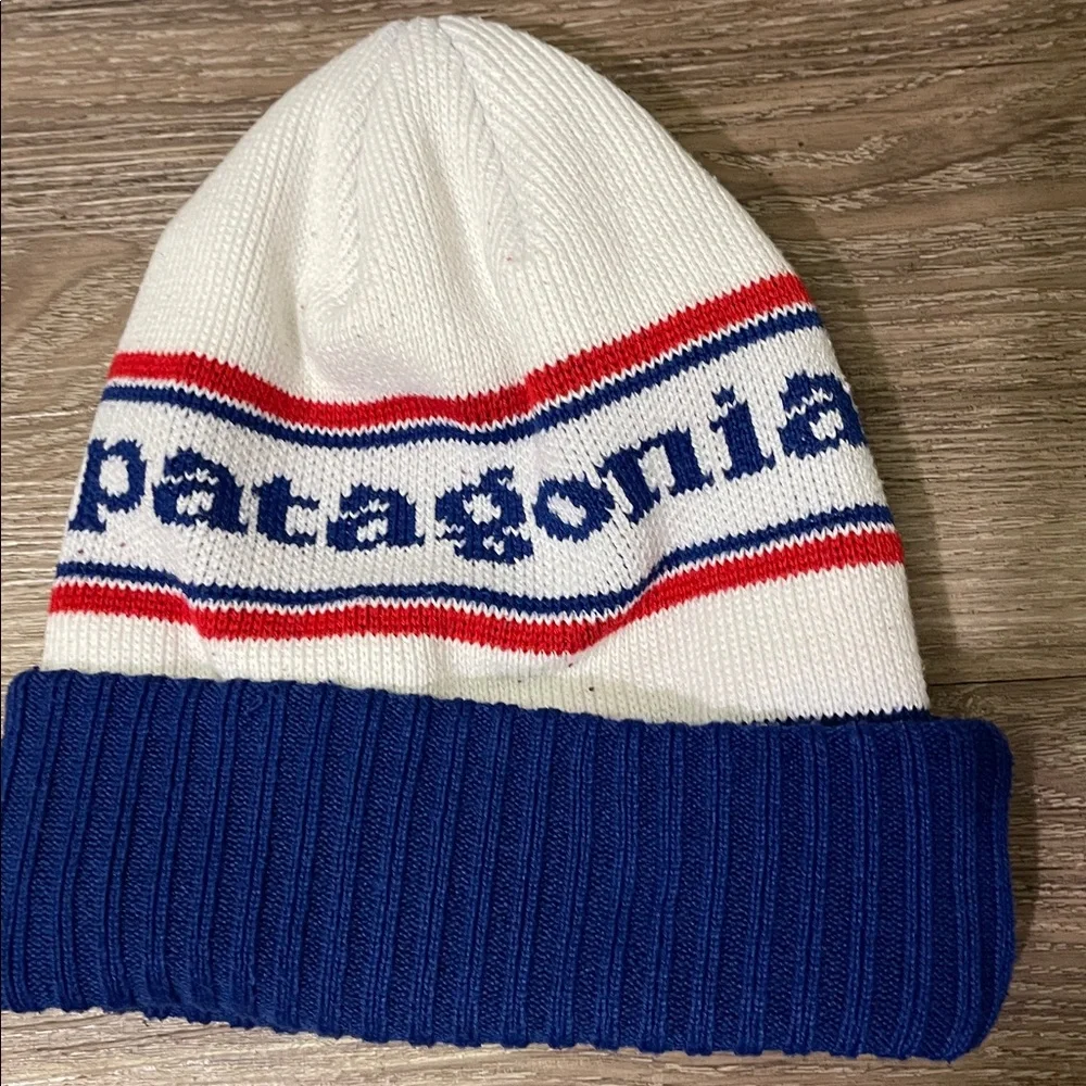 Patagonia White and Blue Striped Beanie
